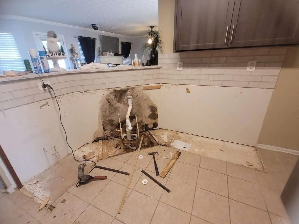 Mold behind wall with plumbing during Flood Damage Cleanup in Manalapan